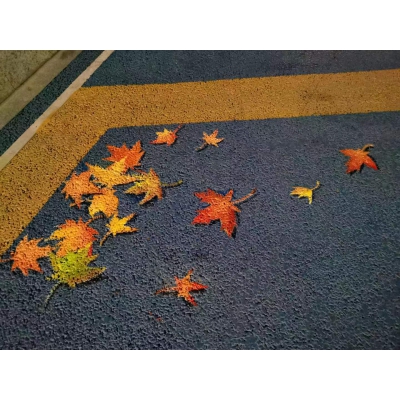 彩绘艺术路面